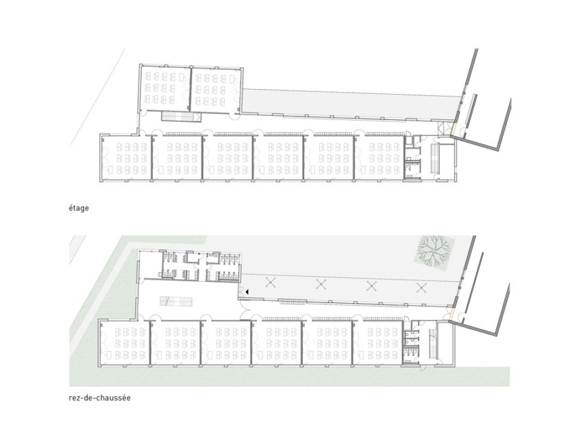 Ch 19  5 Plans